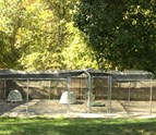 Dog_Kennels_Louisville_KY.jpg
