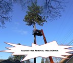 Emergency_And_Hazard_Tree_Removal.jpg