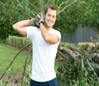 TreeTrimming2.jpeg
