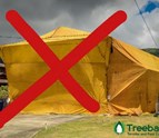 Treebark_Termite_and_Pest_Control3.jpg