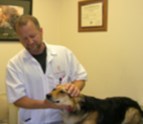 Veterinarian_El_Paso_TX_79925.png