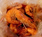 angrycrabphoenix_shrimp_saria.jpg