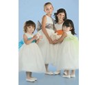 flower_girl_dresses_in_boardman_ohio_1.jpg