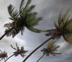 lmrstormdamage300x168.jpg