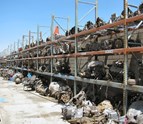 photo3_A1_Budget_Auto_Repair_Junk_Yard_CA.jpg