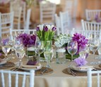 platinum_event_rentals_san_diego_wedding_rentals.jpg