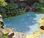 poolcompanies.jpg